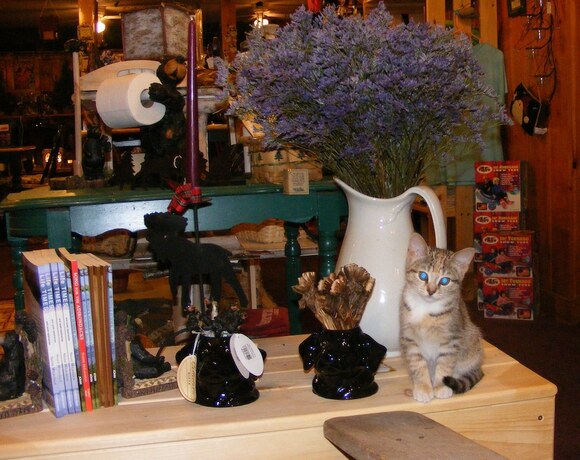 Imagen general del Hotel Mountain Brook Lodge. Foto 14