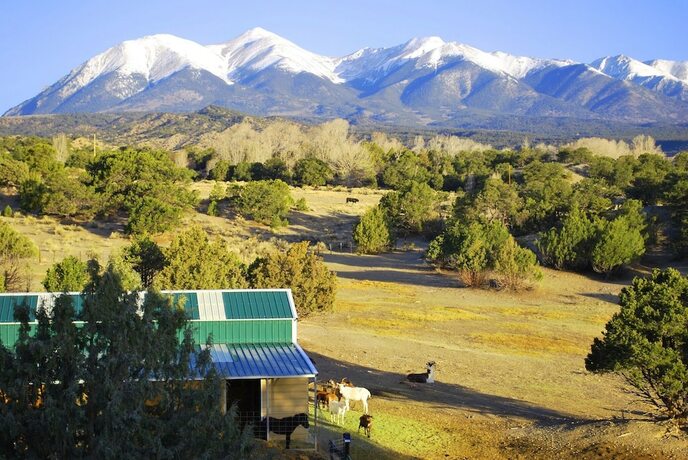 Imagen general del Hotel Mountain Goat Lodge. Foto 14