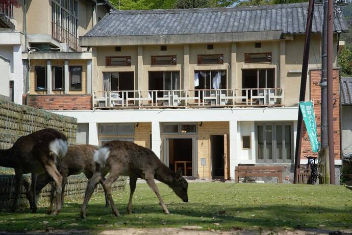 Imagen general del Hotel Mountain Home Lodge In Deer Park. Foto 19