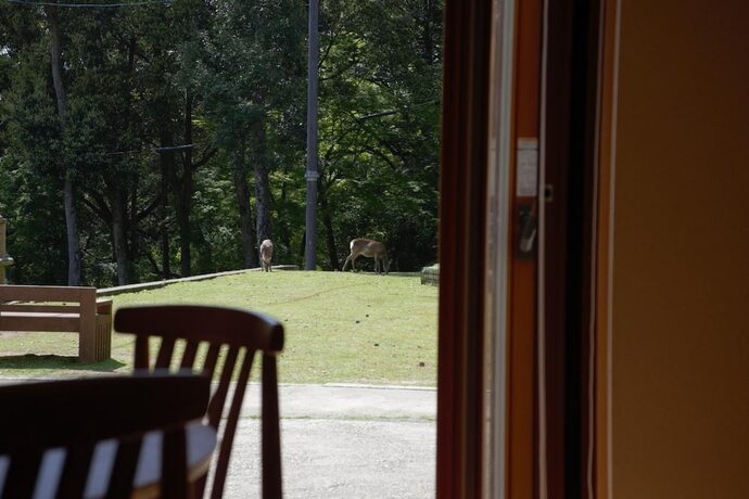 Imagen general del Hotel Mountain Home Lodge In Deer Park. Foto 21