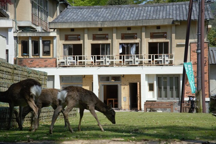 Imagen general del Hotel Mountain Home Lodge In Deer Park. Foto 2