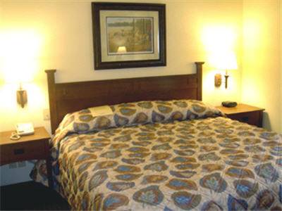 Imagen de la habitación del Hotel Mountain Inn & Suites Airport - Hendersonville. Foto 7