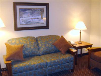 Imagen de la habitación del Hotel Mountain Inn & Suites Airport - Hendersonville. Foto 8