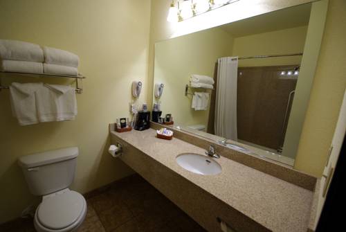 Imagen de la habitación del Hotel Mountain Inn & Suites Airport - Hendersonville. Foto 9