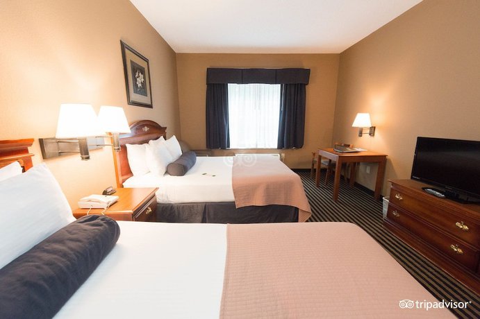 Imagen de la habitación del Hotel Mountain Inn and Suites. Foto 12
