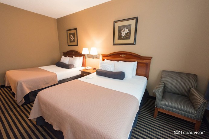 Imagen de la habitación del Hotel Mountain Inn and Suites. Foto 18