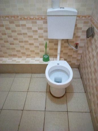 Imagen de la habitación del Hotel Mountain Palace. Foto 6