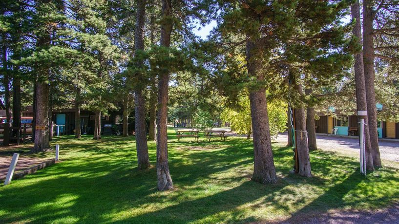 Imagen de los exteriores del Hotel Mountain Pine Motel. Foto 9