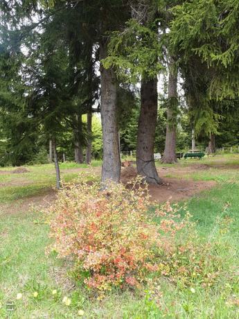 Imagen de los exteriores del Hotel Mountain Resort Gantiadi. Foto 12