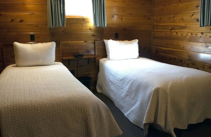 Imagen general del Hotel Mountain Springs Lake Resort. Foto 10