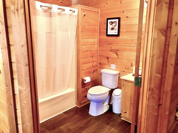 Imagen de la habitación del Hotel Mountain Top Inn and Resort. Foto 18