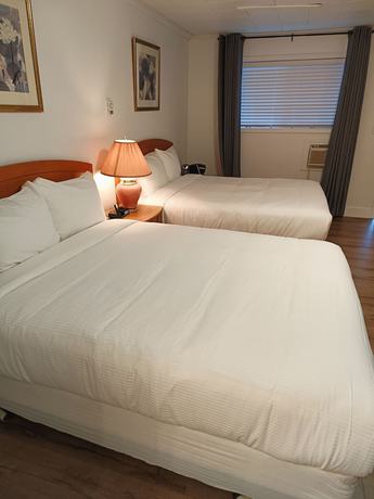 Imagen de la habitación del Hotel Mountain View Hope Motel. Foto 12