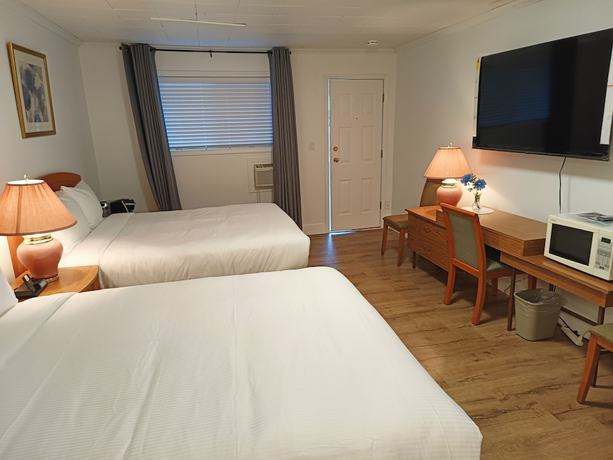 Imagen de la habitación del Hotel Mountain View Hope Motel. Foto 16