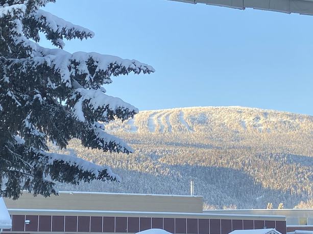 Imagen de los exteriores del Hotel Mountain View Motel, SMITHERS . Foto 18