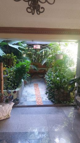 Imagen de los exteriores del Hotel Mountain View, Puerto Plata. Foto 7