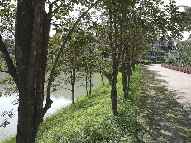 Imagen de los exteriores del Hotel Mountainpark Switzerland Resort. Foto 9