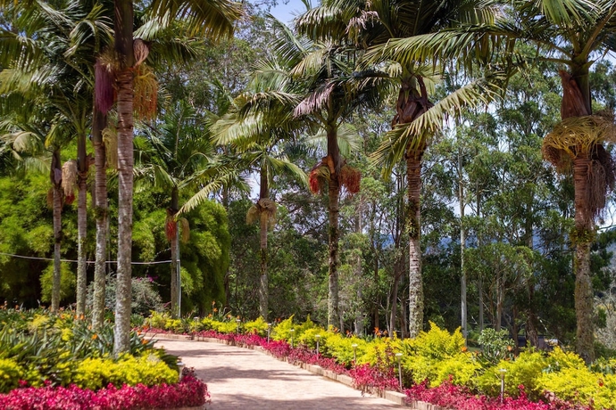 Imagen general del Hotel Mountains of Hope. Foto 1