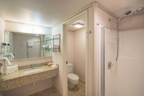 Imagen de la habitación del Hotel Mountainside Inn. Foto 8