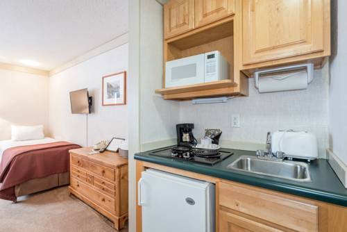 Imagen de la habitación del Hotel Mountainside Inn. Foto 13