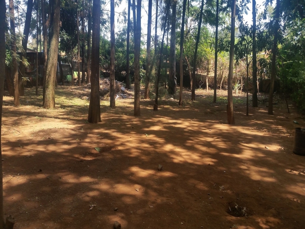 Imagen de los exteriores del Hotel Mountainview Backpackers Kisumu. Foto 16