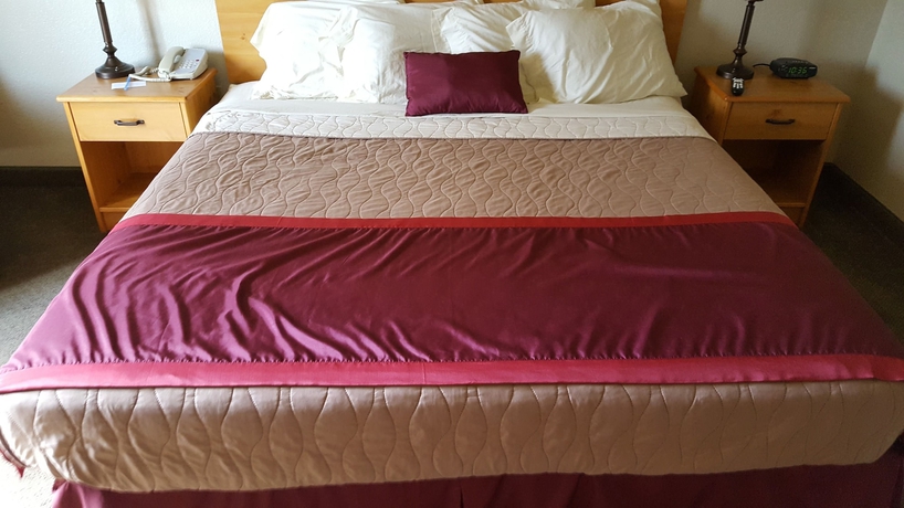Imagen de la habitación del Hotel Mountainview Lodge and Suites. Foto 10