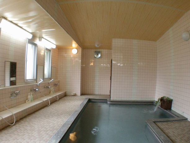 Imagen de la piscina del Hotel Mountside Jodel. Foto 19
