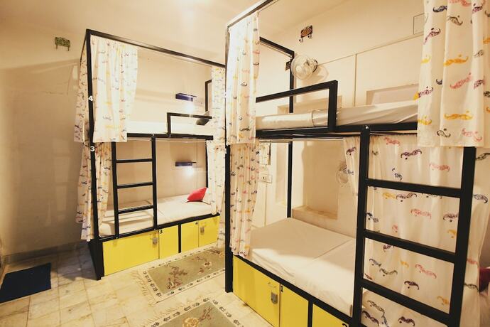 Imagen de la habitación del Hotel Moustache Udaipur - Hostel. Foto 29