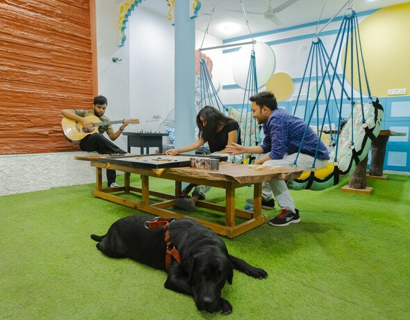 Imagen de los interiores del Hotel Moustache Udaipur - Hostel. Foto 31
