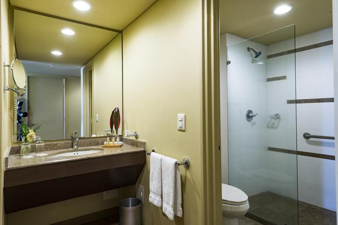 Imagen general del Hotel Movich De Pereira. Foto 6