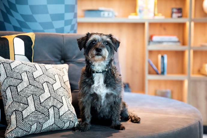 Imagen general del Hotel Moxy the Hague. Foto 2