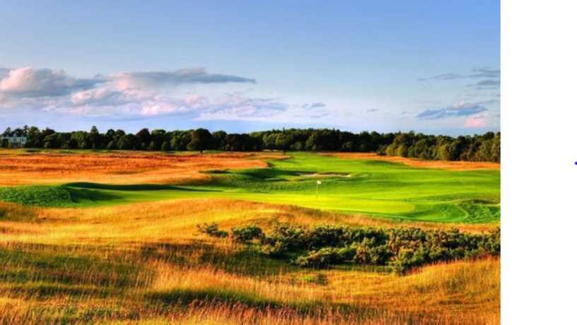 Imagen general del Hotel Moyvalley and Golf Resort. Foto 3