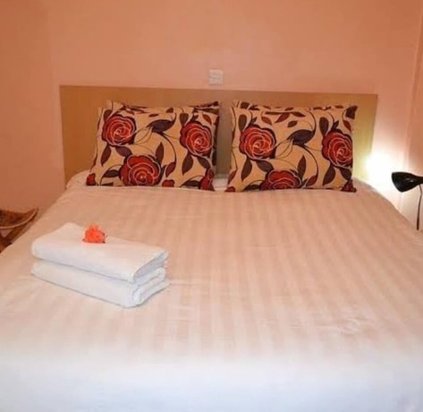 Imagen general del Hotel Mpeta House. Foto 7