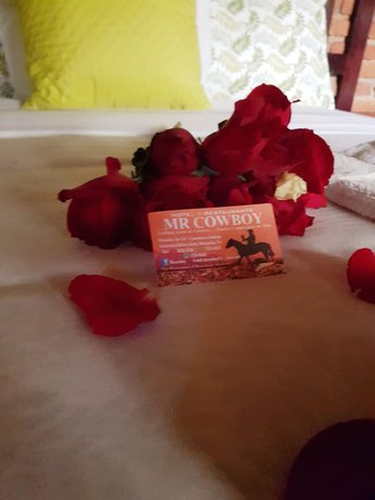 Imagen de la habitación del Hotel Mr Cowboy hotel y restaurante. Foto 6