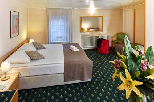 Imagen de la habitación del Hotel Mrak 3* Superior. Foto 12