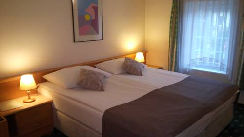 Imagen de la habitación del Hotel Mrak 3* Superior. Foto 15