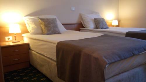 Imagen de la habitación del Hotel Mrak 3* Superior. Foto 16