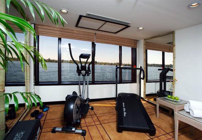 Imagen de los interiores del Hotel Ms Movenpick Royal Lily - Luxor Aswan. Foto 10