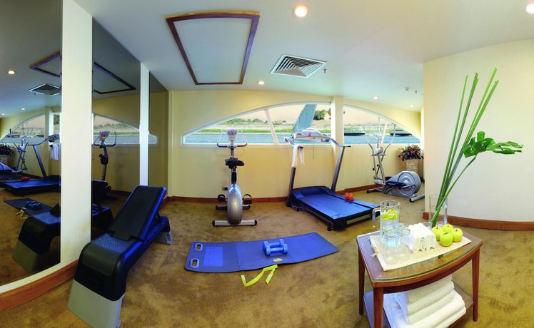Imagen de los interiores del Hotel Ms Movenpick Royal Lotus - Luxor Aswan. Foto 12