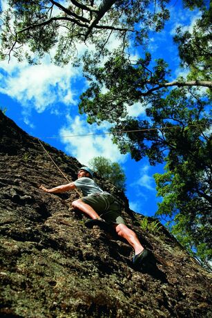 Imagen general del Hotel Mt Barney Lodge Country Retreat. Foto 12