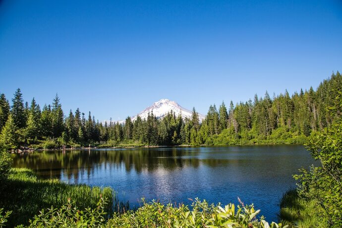 Imagen general del Hotel Mt Hood Village RV Resort. Foto 4