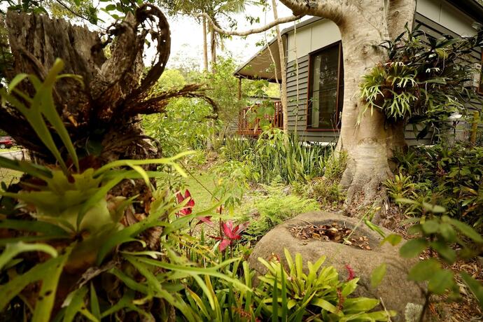 Imagen general del Hotel Mt Warning Rainforest Park. Foto 13