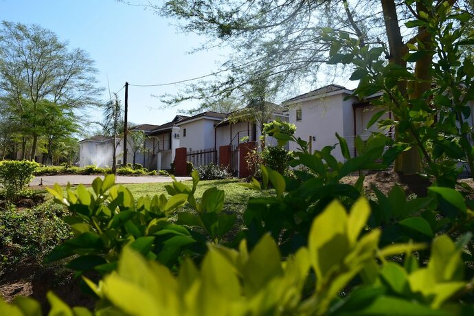 Imagen general del Hotel Mthunzi Lodge. Foto 1