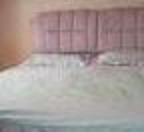 Imagen general del Hotel Mudanjiang Aizhilv Apartment. Foto 3