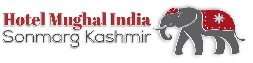 Imagen general del Hotel Mughal India. Foto 1