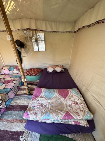 Imagen de la habitación del Hotel Muhra Camp Siwa. Foto 11