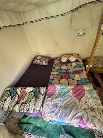 Imagen de la habitación del Hotel Muhra Camp Siwa. Foto 16