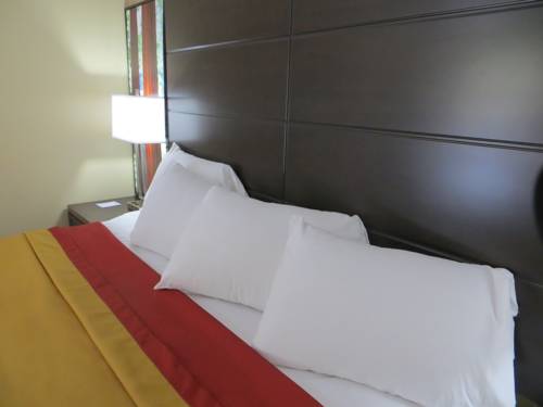 Imagen de la habitación del Hotel Muir Woods Lodge. Foto 13