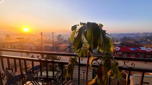 Imagen general del Hotel Muju. Foto 3