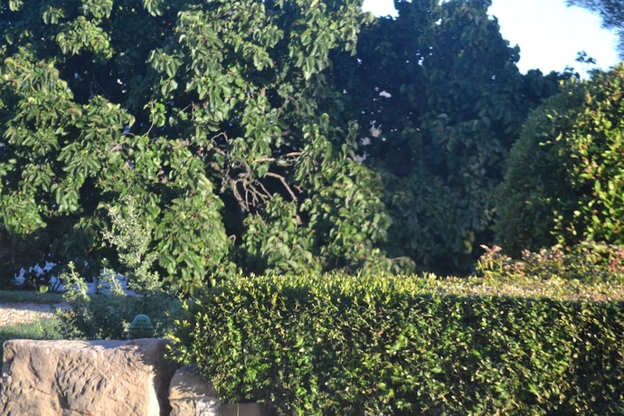 Imagen de la habitación del Hotel Mulberry Cottage Bandb. Foto 3