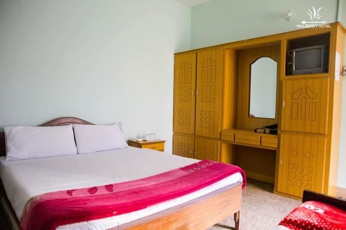 Imagen de la habitación del Hotel Mulberry. Foto 15